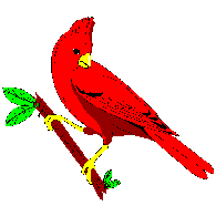 Cardinal No. 2