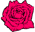 Rose No. 2