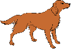 Dog No. 5